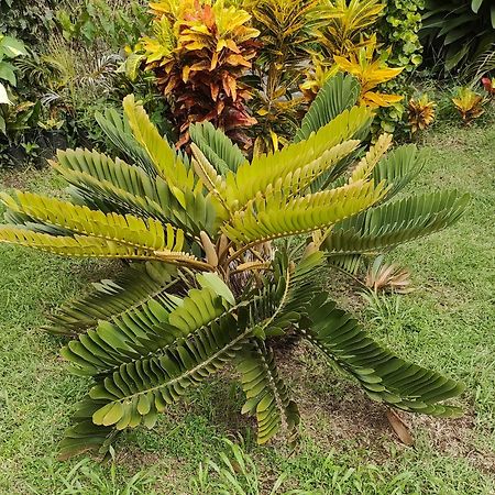 Bencastle Villa Gros Islet Bagian luar foto