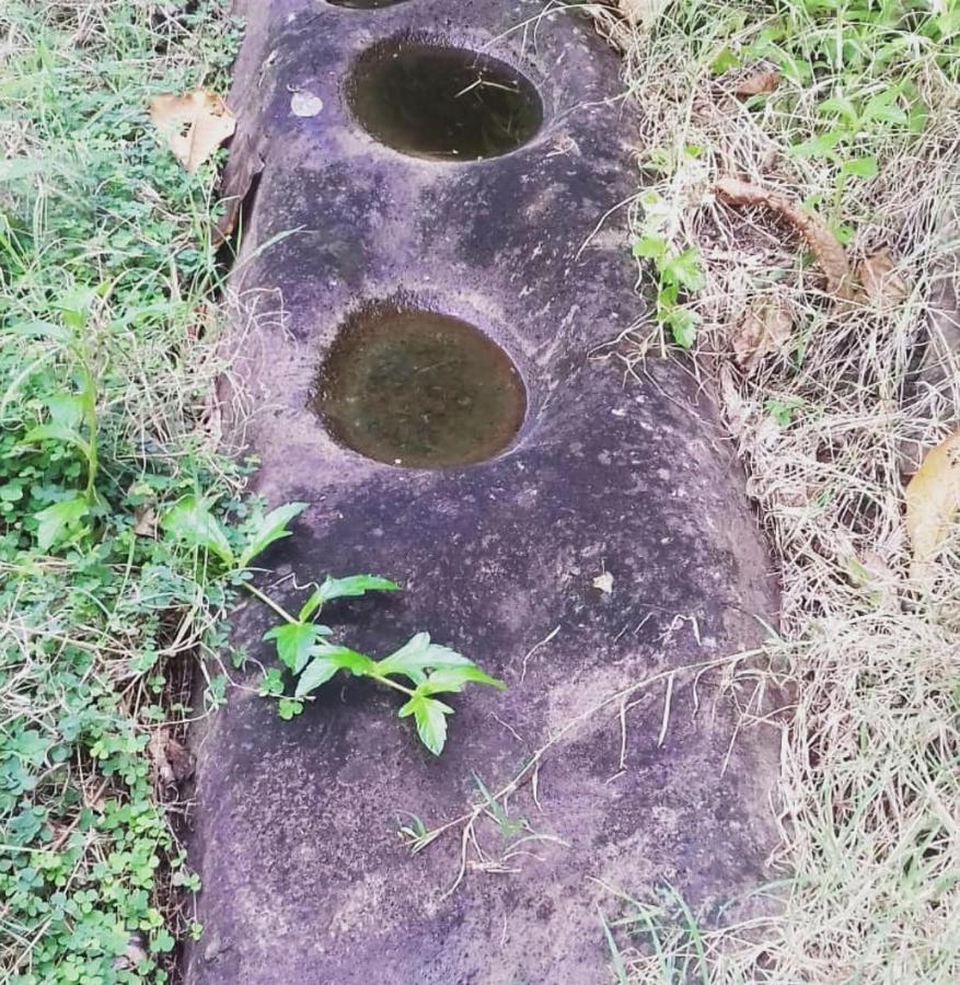 Bencastle Villa Gros Islet Bagian luar foto