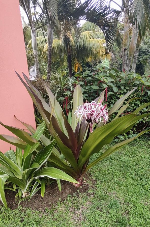 Bencastle Villa Gros Islet Bagian luar foto