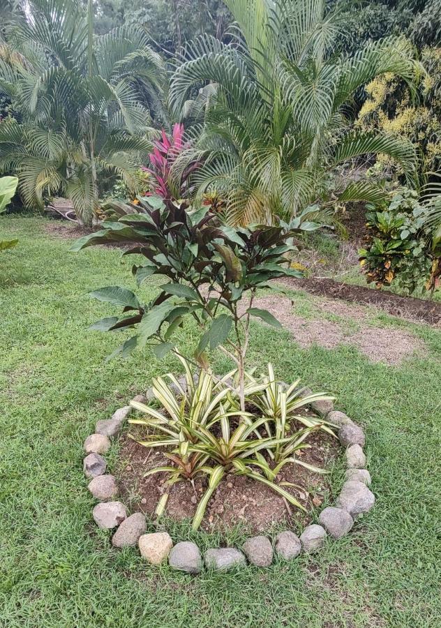 Bencastle Villa Gros Islet Bagian luar foto